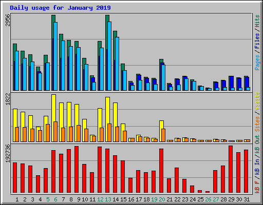 Daily usage for January 2019