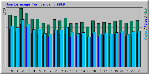 Hourly usage for January 2019